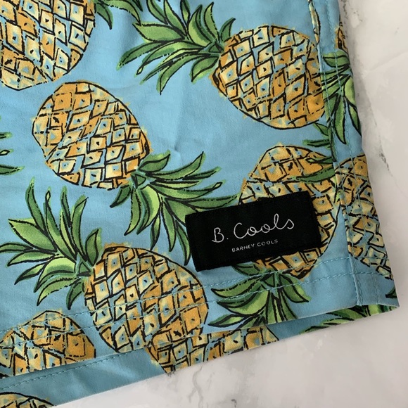 BARNEY COOLS BLUE GREEN PINEAPPLE SWIM SHORTS - Picture 4 of 7